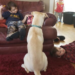 Meet your Posher, Dane